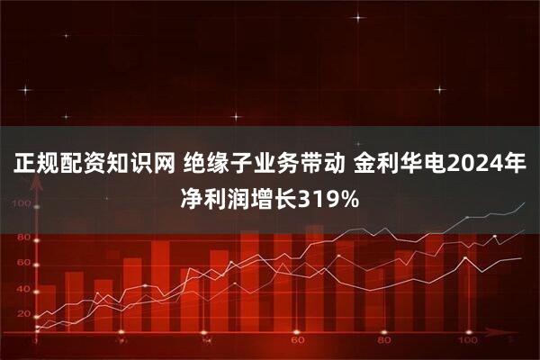 正规配资知识网 绝缘子业务带动 金利华电2024年净利润增长319%