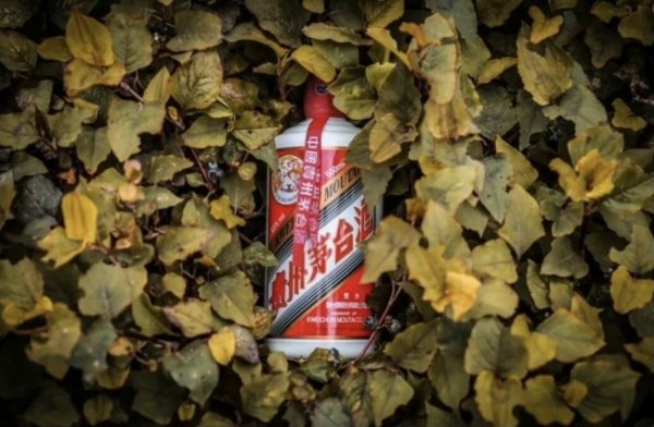 股票配资在线炒股配资 千亿茅台欠税？茅台：经调查核实，不存在欠税情况