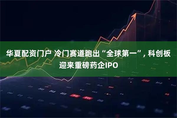 华夏配资门户 冷门赛道跑出“全球第一”, 科创板迎来重磅药企IPO